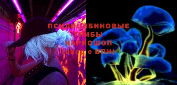 прущие грибы Володарск