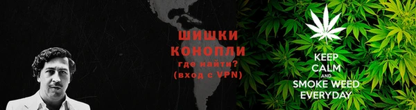 дживик Ступино