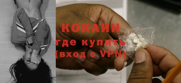 прущие грибы Володарск