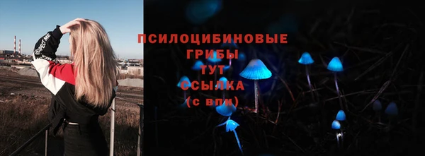 дживик Ступино