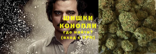 прущие грибы Володарск