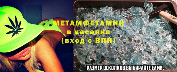 прущие грибы Володарск