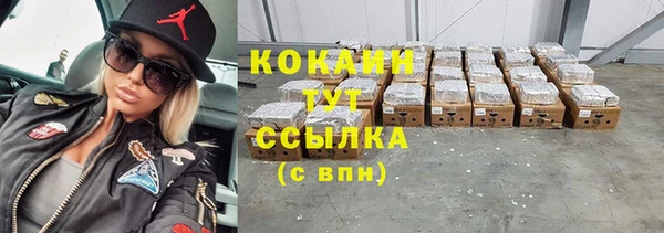 прущие грибы Володарск