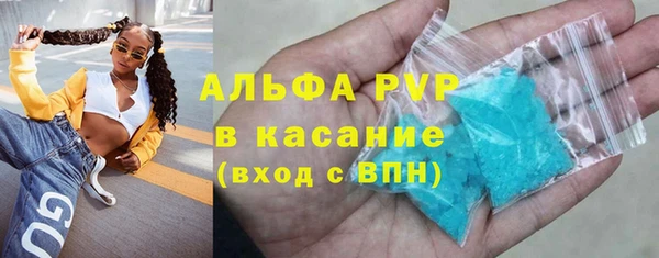 прущие грибы Володарск