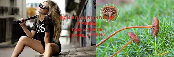 гидропоника Волоколамск